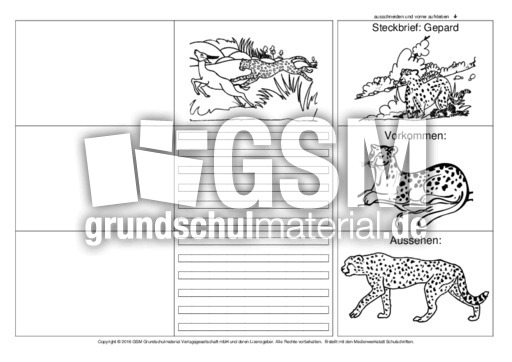 Flip-Flap-Gepard-2.pdf